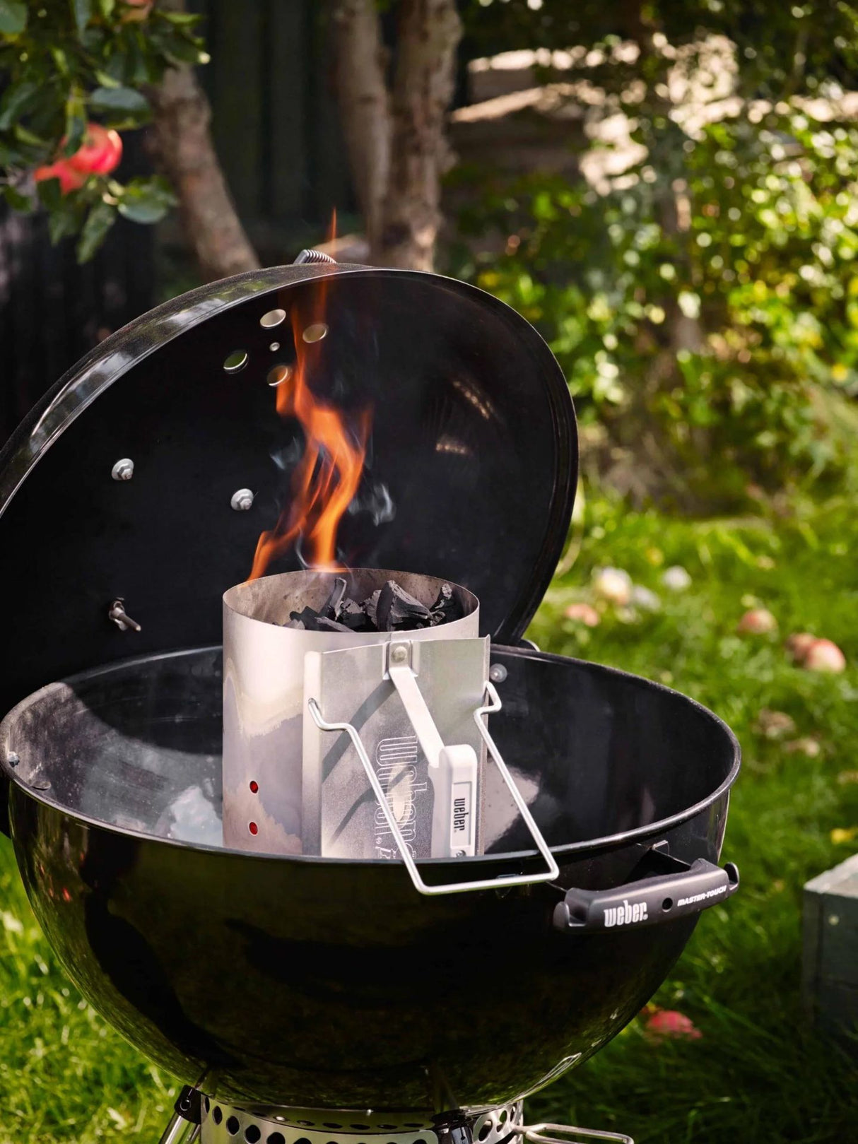 WEBER CHIMNEY STARTER PACK