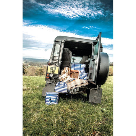 LULWORTH NAUTICAL-STRIPED MEDIUM COOL BAG