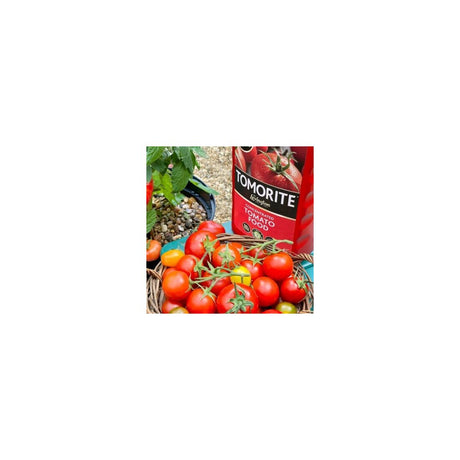 LEVINGTON TOMORITE TOMATO FOOD 1L+20% FOC