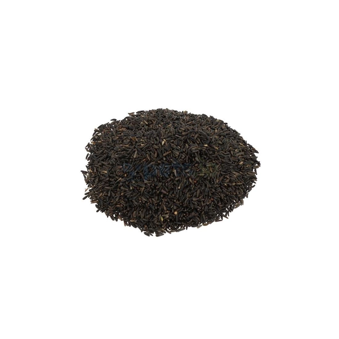 BIRDY NYJER SEED 5KG