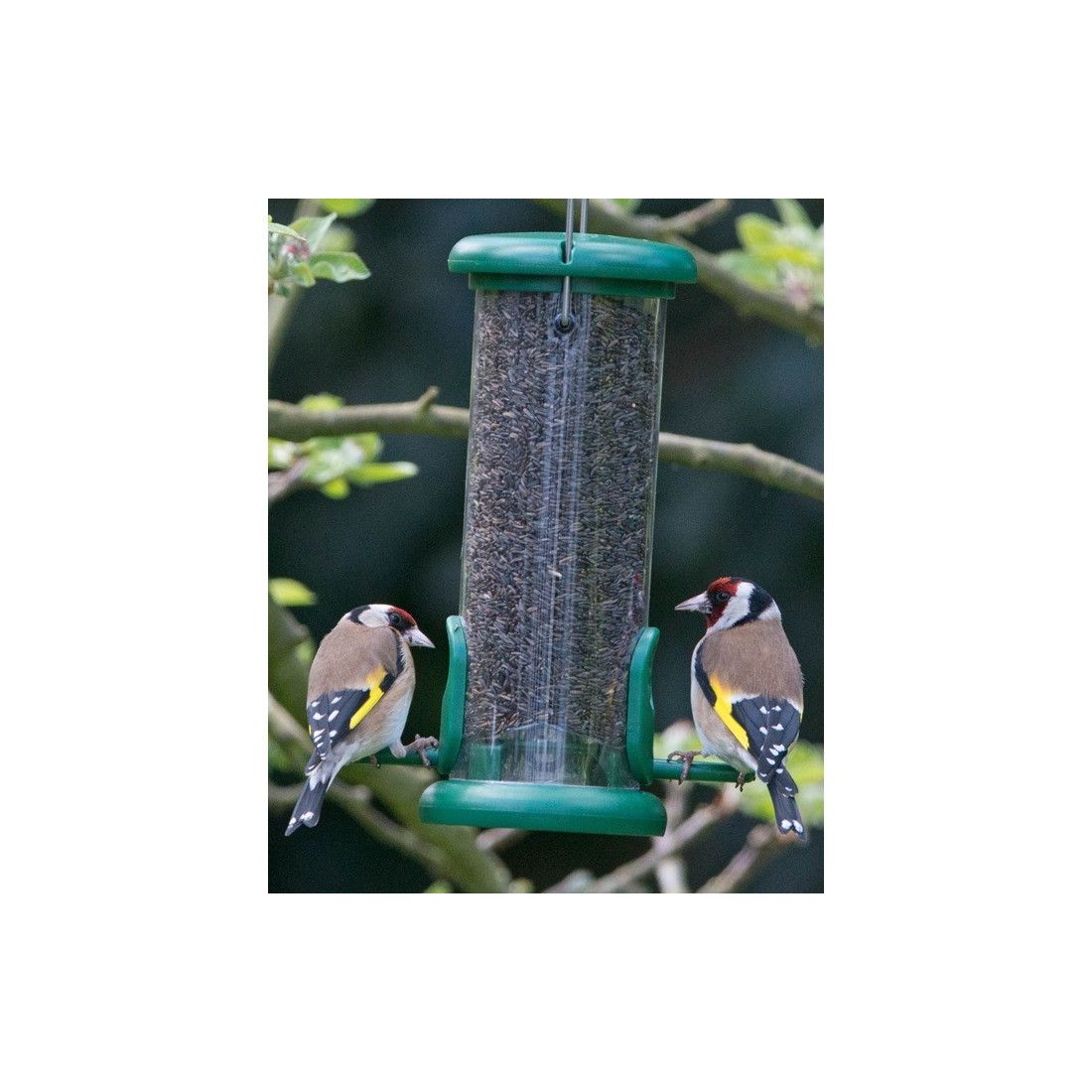 BIRDY NYJER SEED 5KG