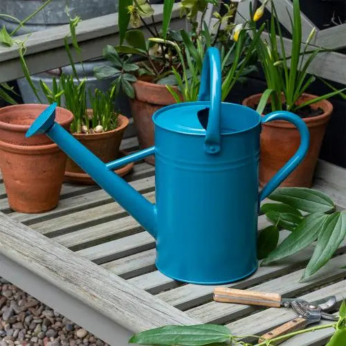 GALVANISED WATERING CAN 4.5L BLUE