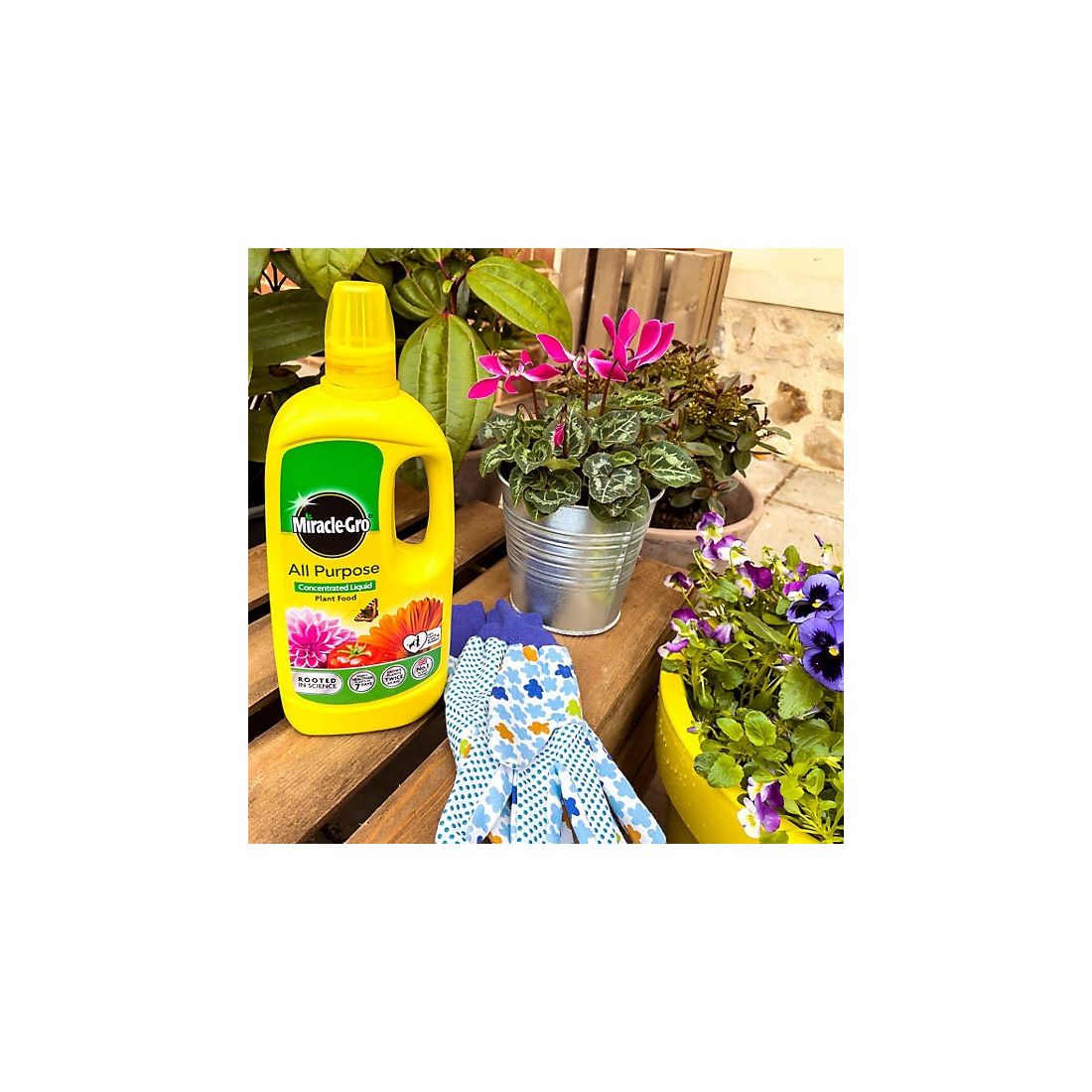 Miracle-Gro All Purpose Concentrated Liquid Plant Food 800ml