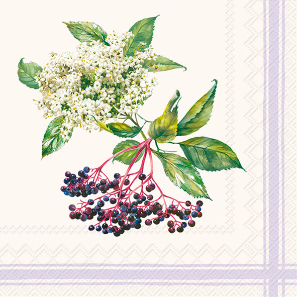 NAPKINS COCKTAIL SIZENATURAL ELDER CREAM