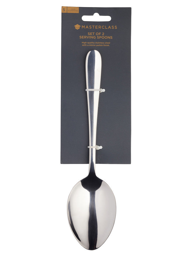 MASTERCLASS SET OF 2 SERVING SPOONS