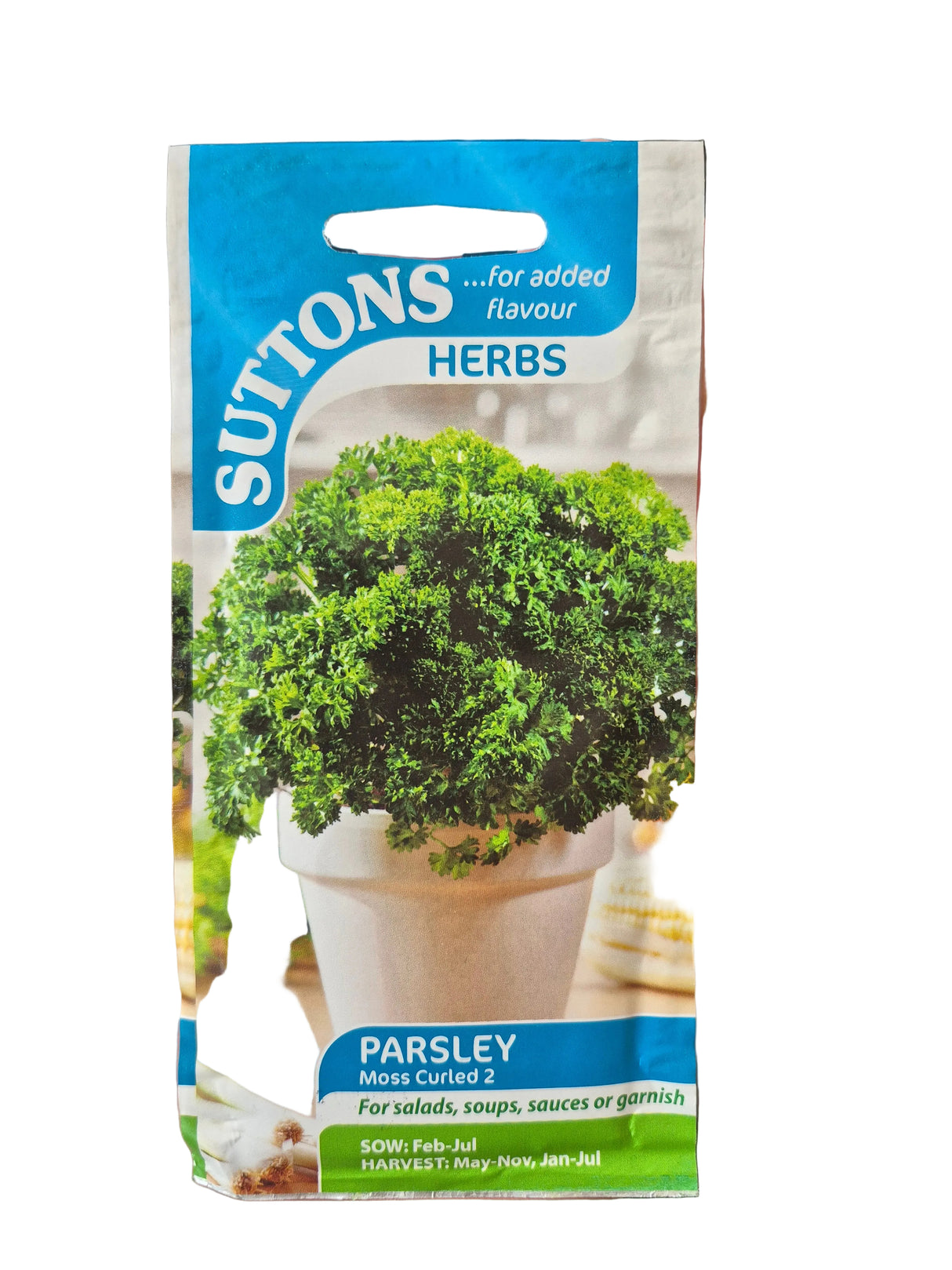 PARSLEY - MOSS CURLED 2