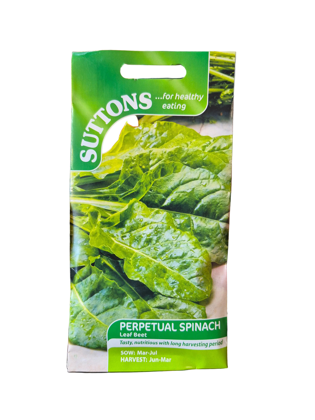 PERPETUAL SPINACH - LEAF BEET