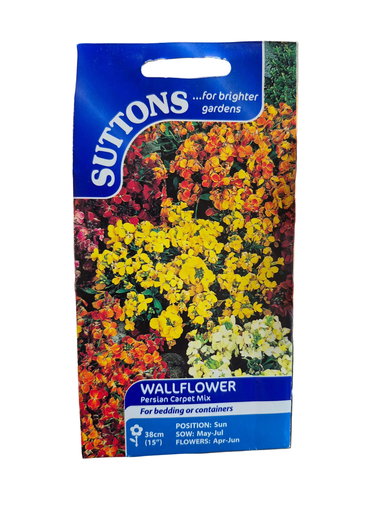 WALLFLOWER - PERSIAN CARPET MIX