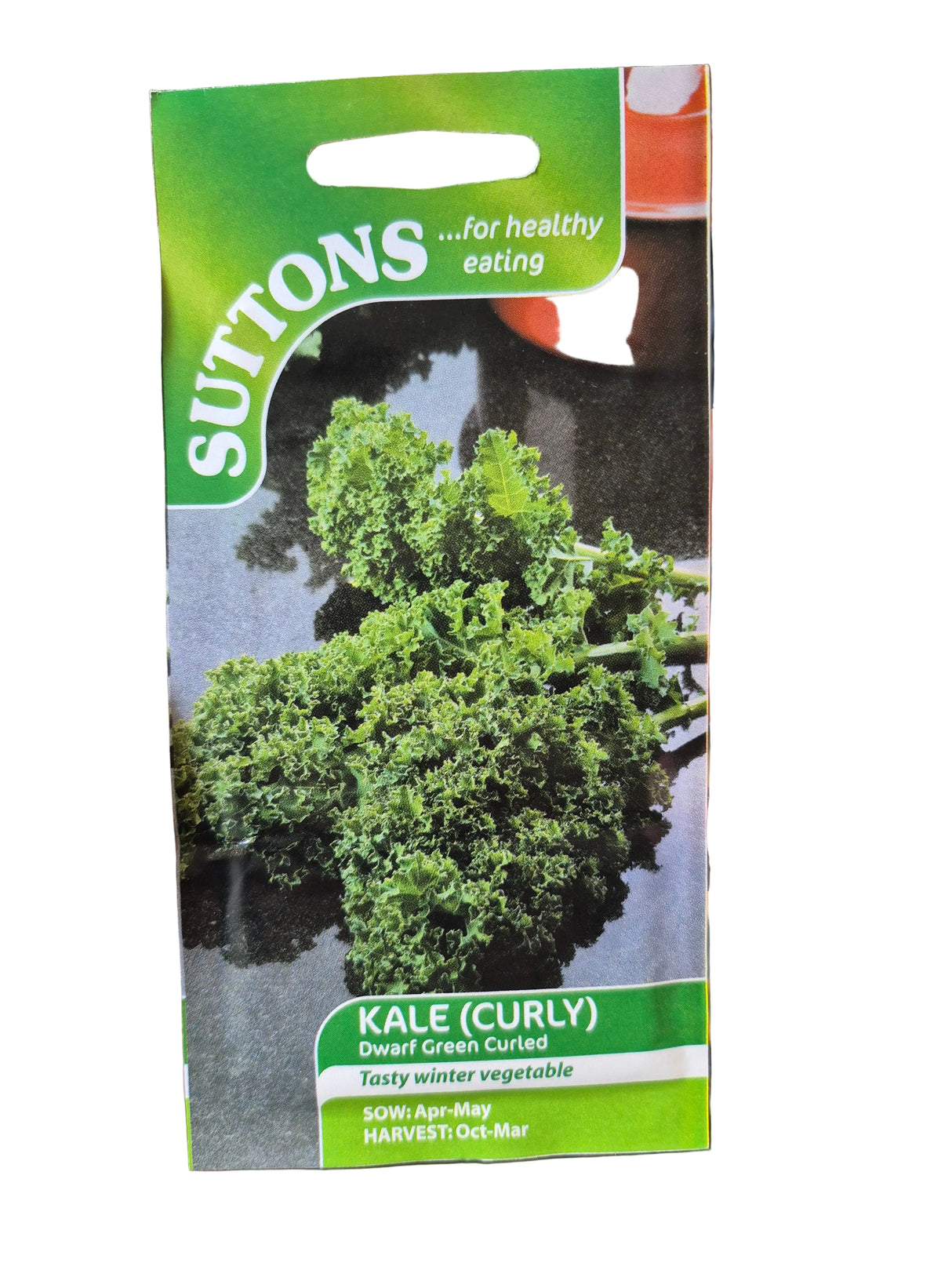 KALE(CURLY) - DWARF GREEN CURLED