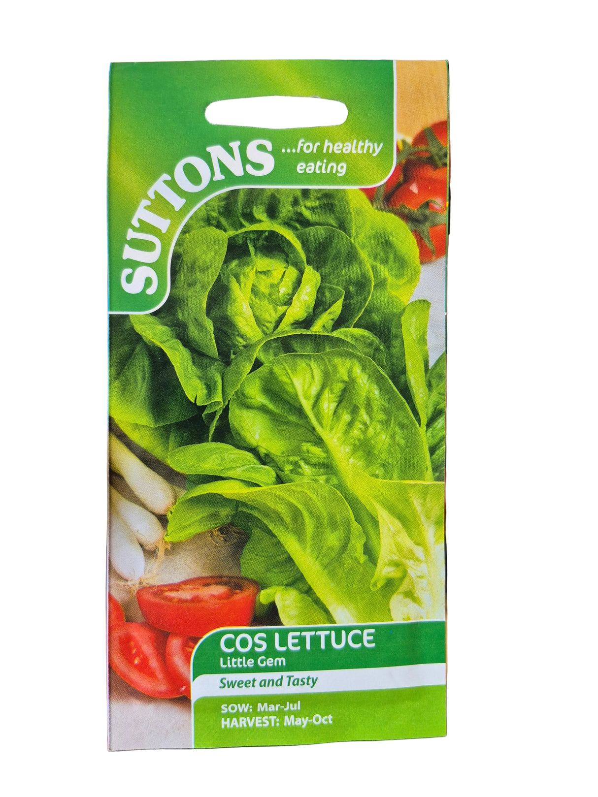 COS LETTUCE - LITTLE GEM