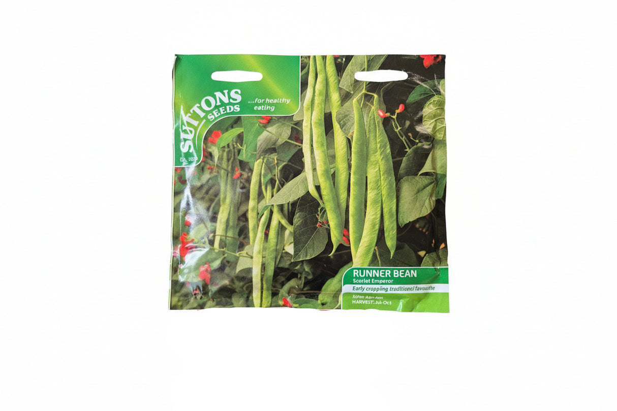 RUNNER BEAN - SCARLET EMPEROR