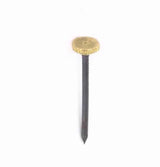 SECURIT BRASS HEADED PICTURE PINS