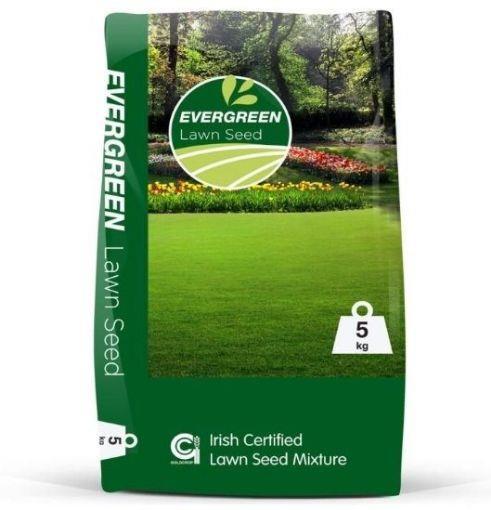 EVERGREEN LAWN SEED 5KG