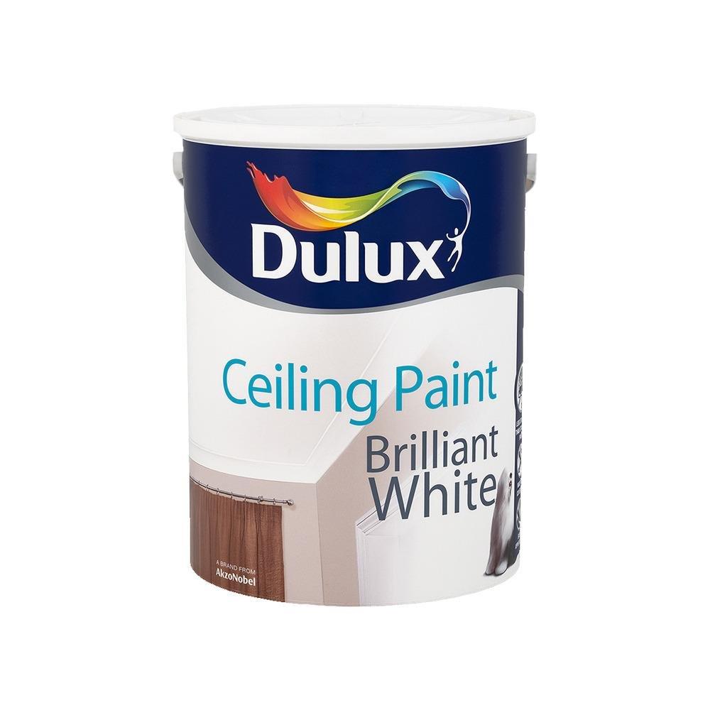 DU CEILING PAINT BRILLIANT WHITE 5L