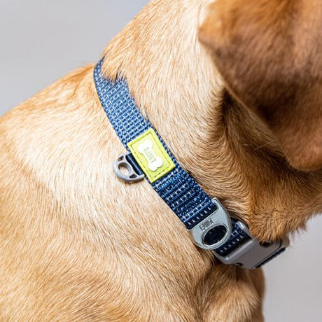 BUILT PET NIGHT SAFE RECFLECTIVE COLLAR MEDIUM BLUE