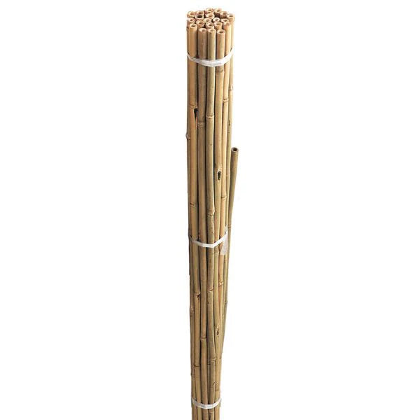 BAMBOO CANES 6'