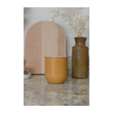 KITCHEN CANNISTER WITH BEECHWOOD LID 9CM X 10CM YELLOW