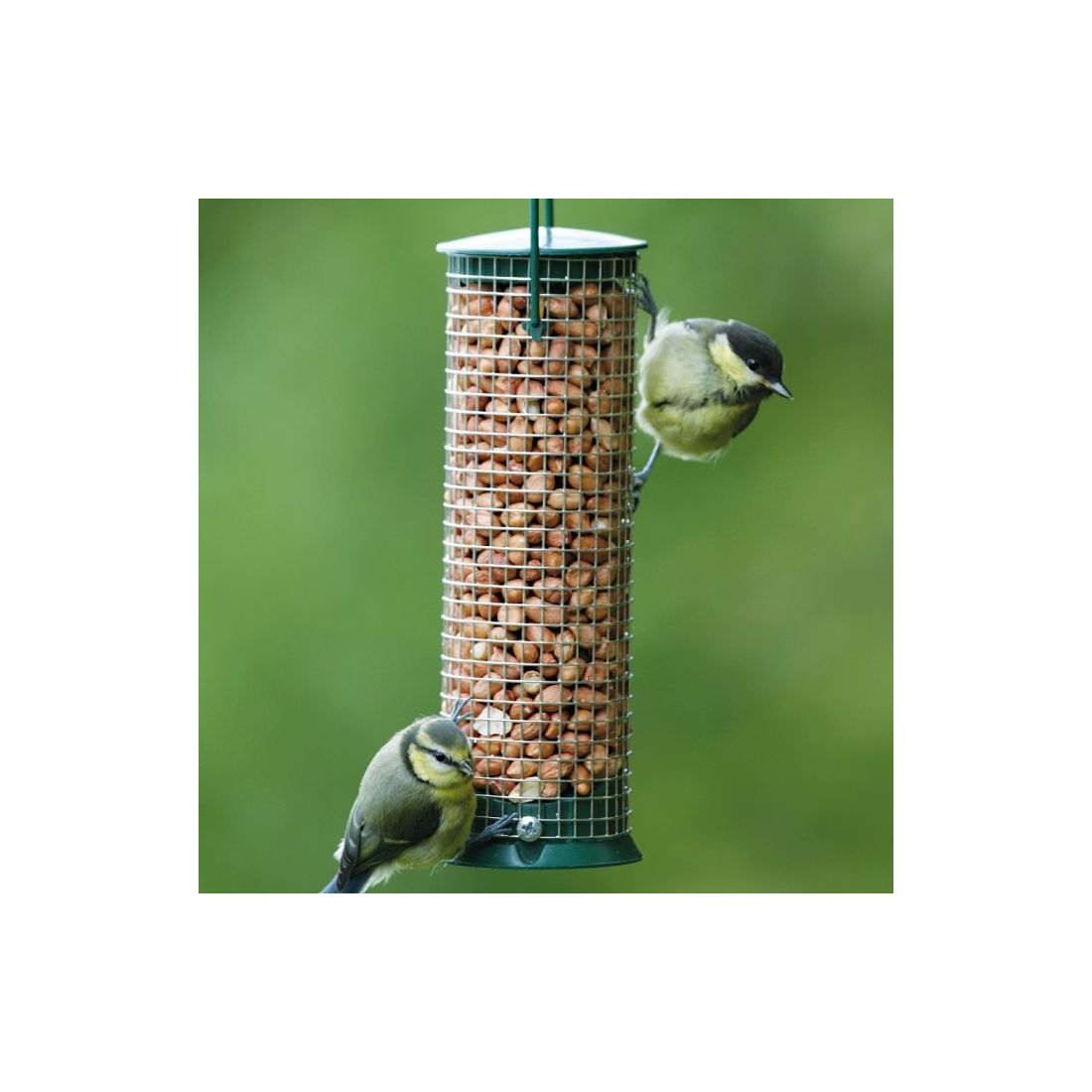 BIRDY 5KG WILD BIRD PEANUTS