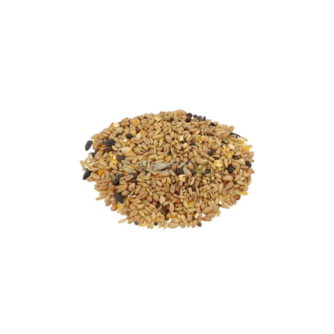 BIRDY WILD BIRD SEED 5KG