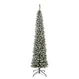 SNOWYPENCIL PINE TREE 7 FT