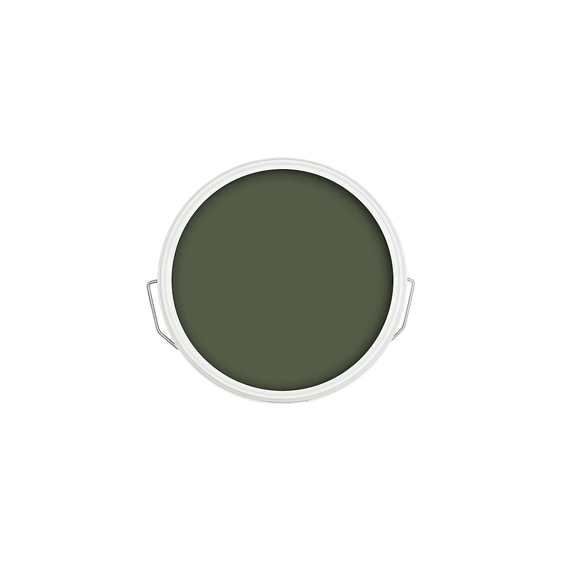 RONSEAL ONE COAT FENCE LIFE FOREST GREEN 5L