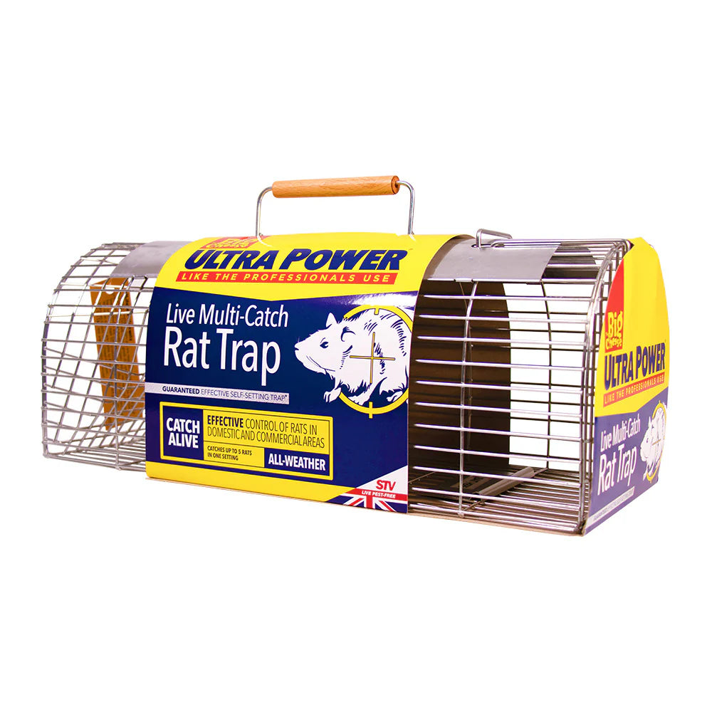 THE BIG CHEESE LIVE MULTI-CATCH RAT TRAP