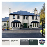 Dulux Weathershield Inisheer White 250ml