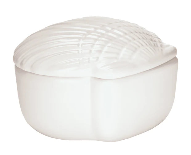 COTTON BOX CONCHA WHITE
