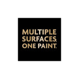 RONSEAL ONE COAT EVERYWHERE PAINT PURE BRILLIANT WHITE MATT 2.5L