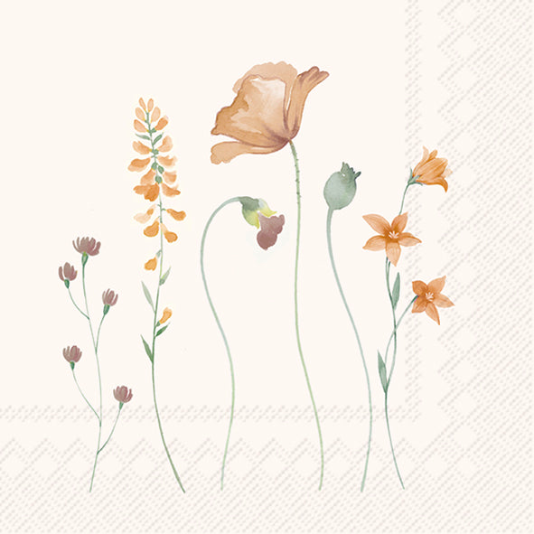 Napkins lunch cristelle cream