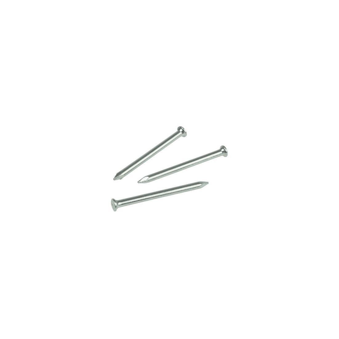 Rawlplug Steel Nails 3.5mm x 75mm Pack of 20