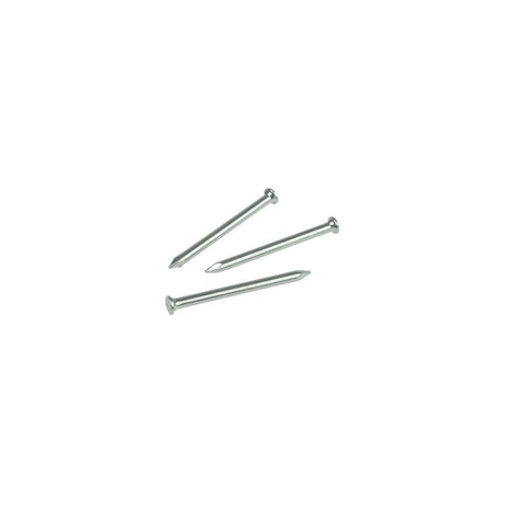 RAWLPLUG STEEL NAILS 3.5MM X 75MM PACK OF 20