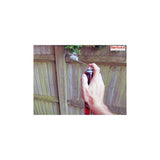 Rentokil Wasp Destroyer Foam 300ml