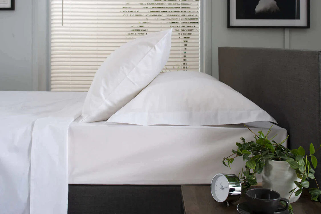 SHEET FITTED SINGLE 100% COTTON WHITE
