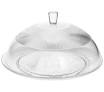 GLASS DOME & COVER