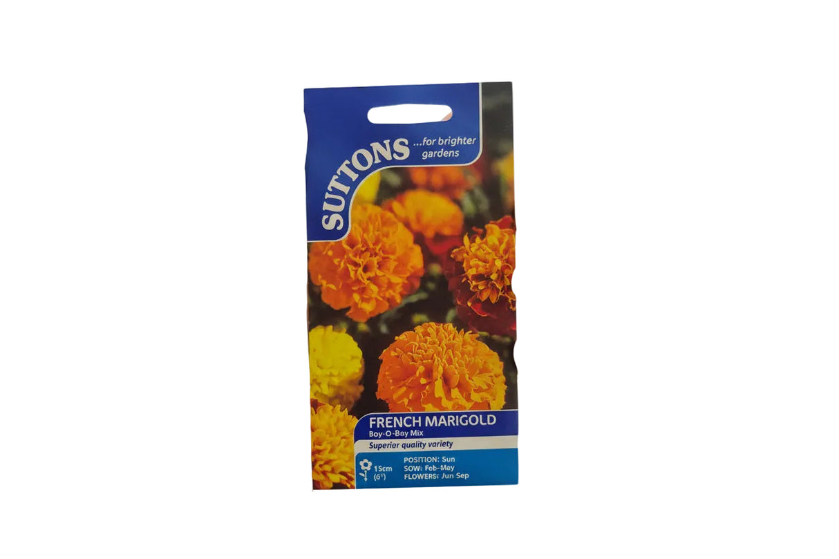 FRENCH MARIGOLD - BOY O BAY MIX