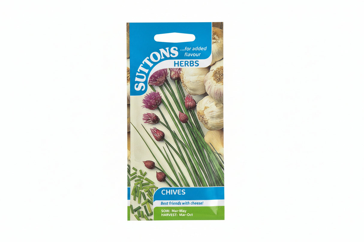 CHIVES