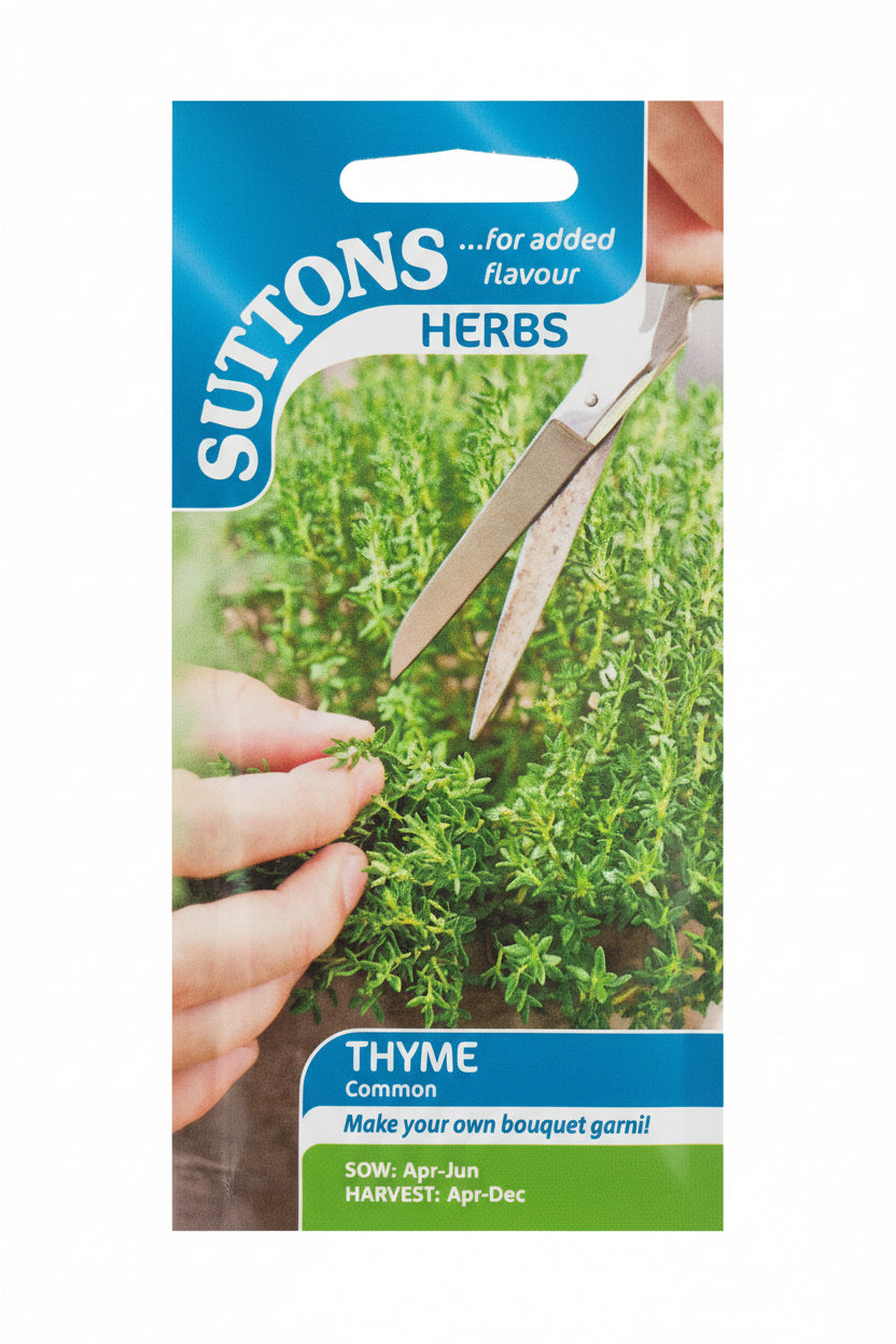 THYME - COMMON
