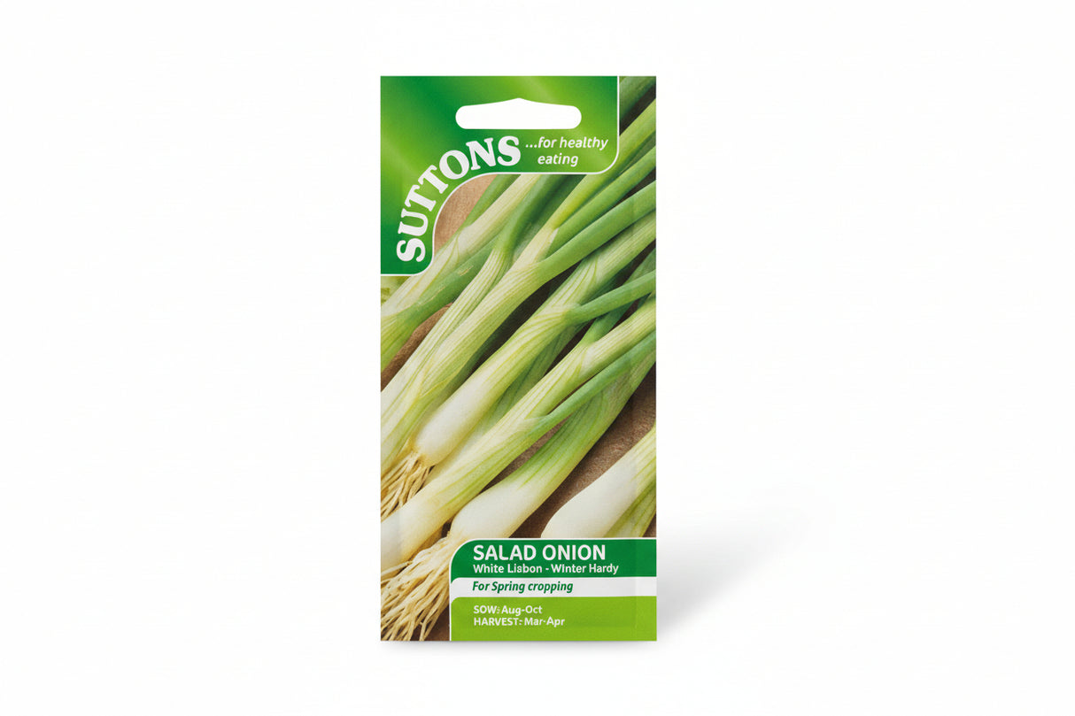 SALAD ONION - WHITE LISBON WINTER HARDY