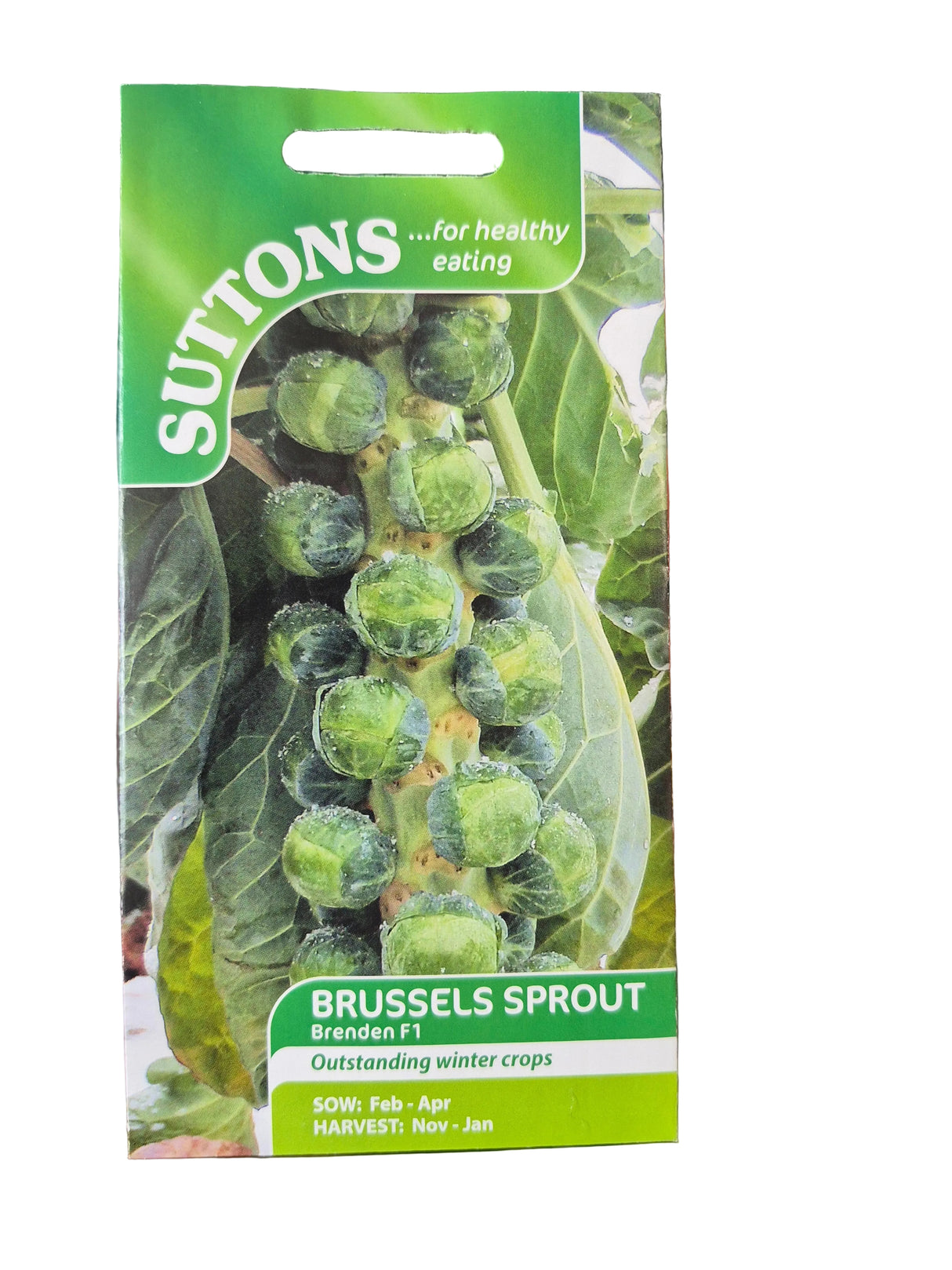 BRUSSELS SPROUTS - BRENDEN F1