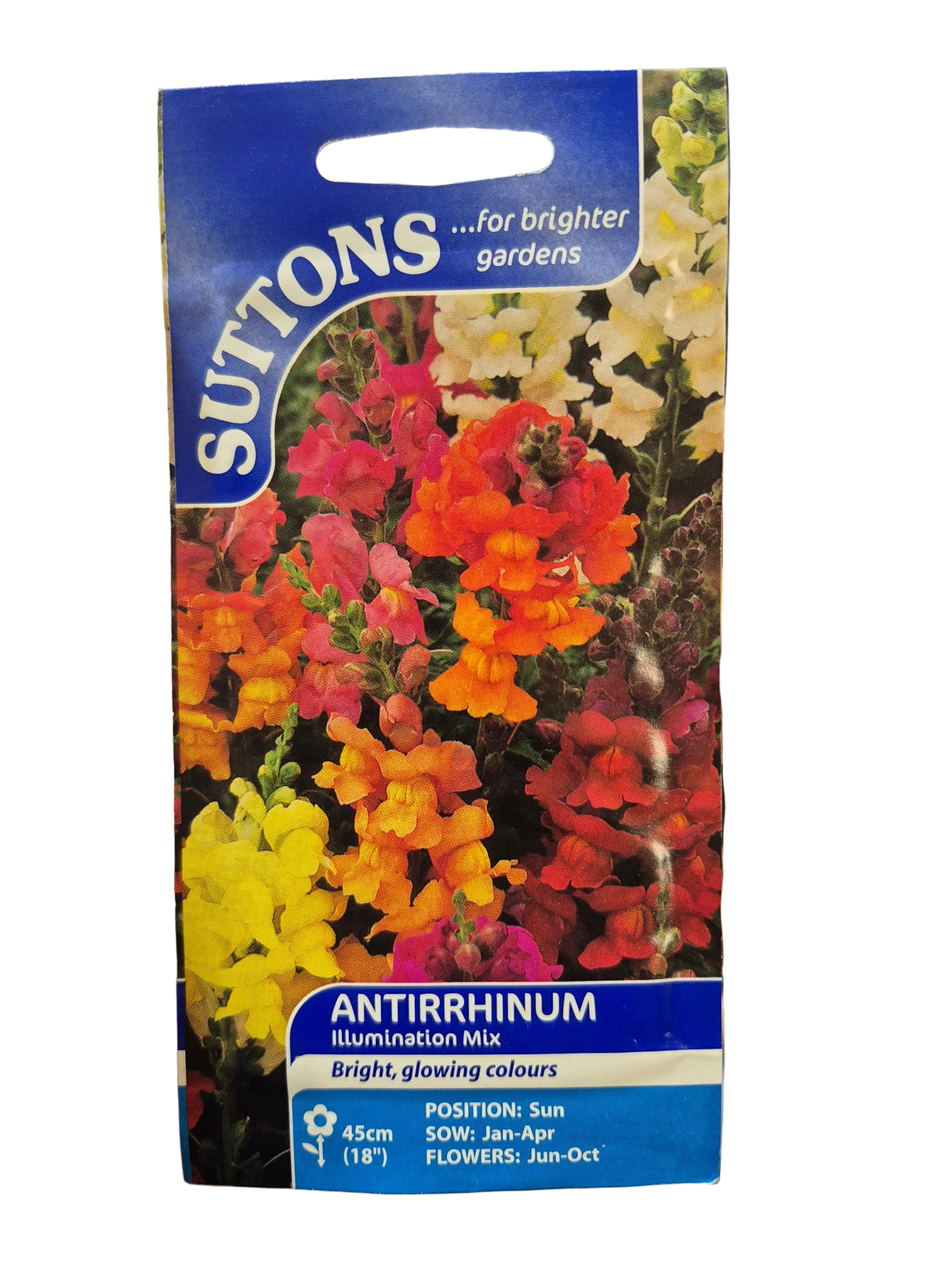ANTIRRHINUM - ILLUMINATION MIX