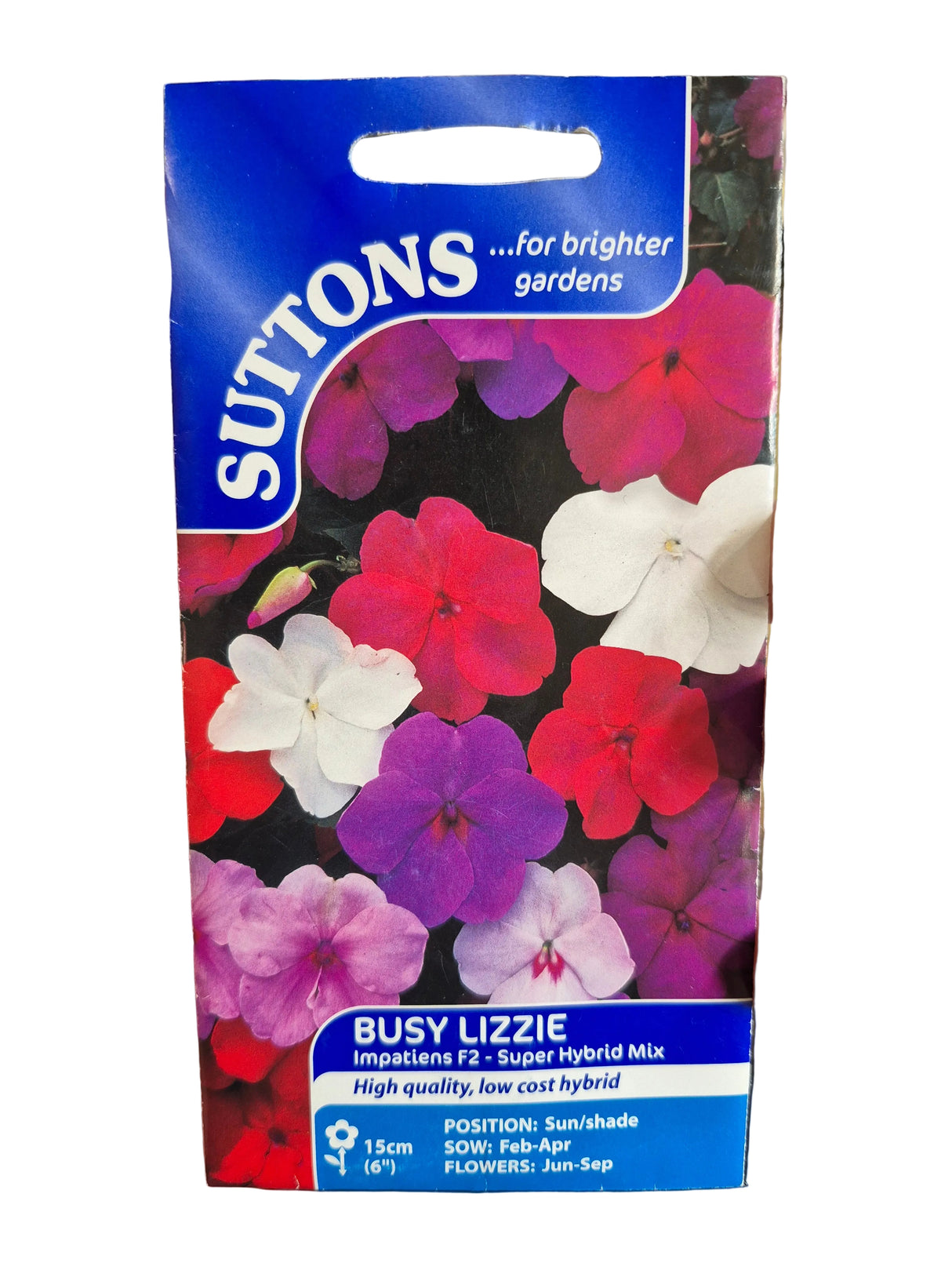 BUSY LIZZIE - IMPATIENS 2 SUPER HYBRID MIX