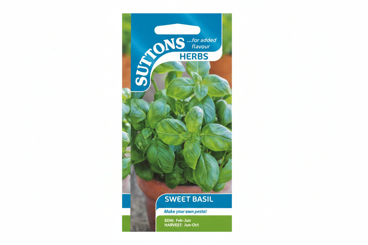 SWEET BASIL