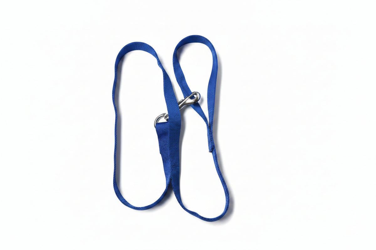 Captive Nylon Dog Lead 40cm x 3/4"