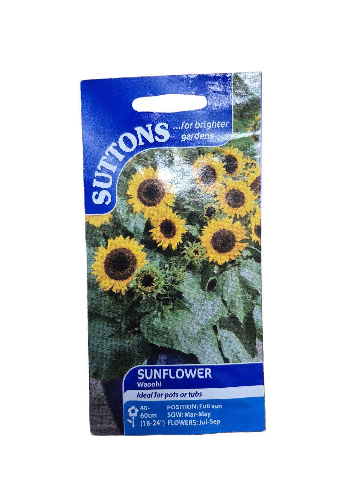 SUNFLOWER - WAOOH