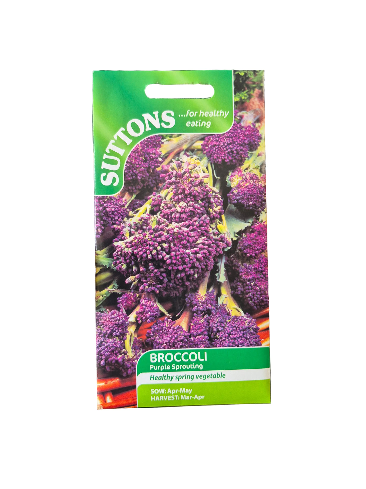 BROCCOLI - PURPLE SPROUTING