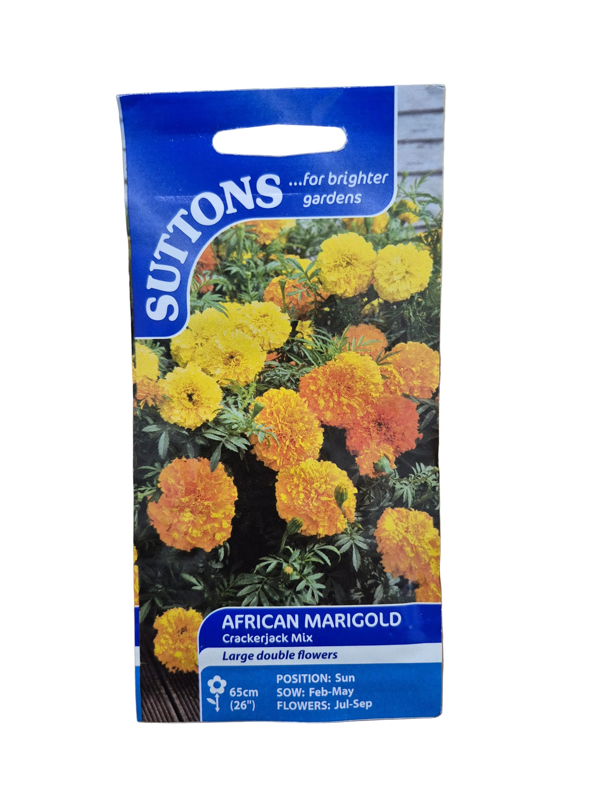 AFRICAN MARIGIOLD - CRACKERJACK MIX