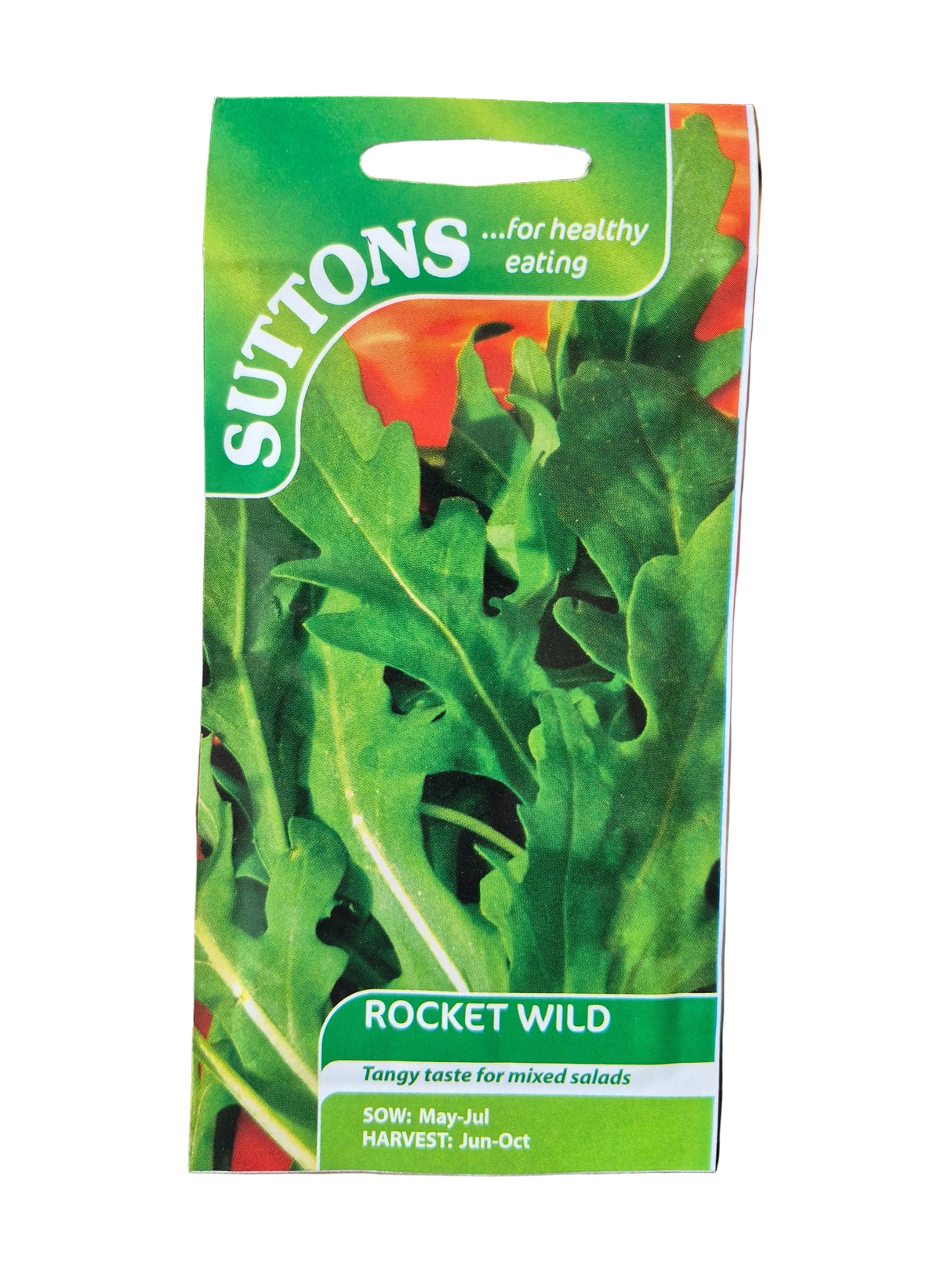 ROCKET WILD