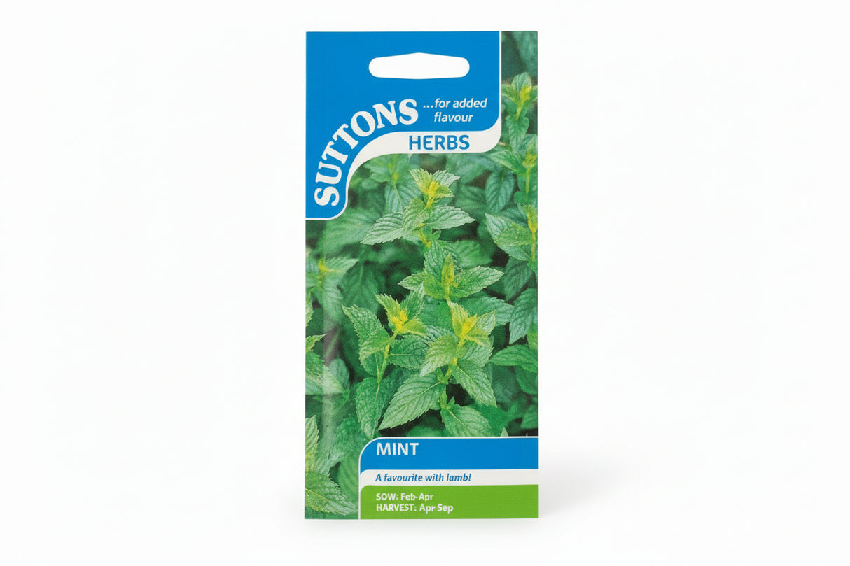 MINT
