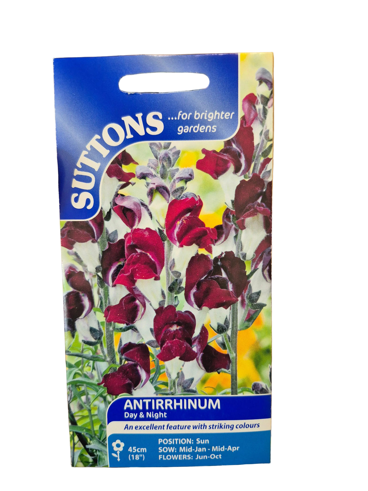 ANTIRRHINUM - DAY & NIGHT